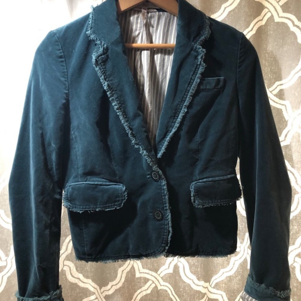 Velvet Joie Blazer